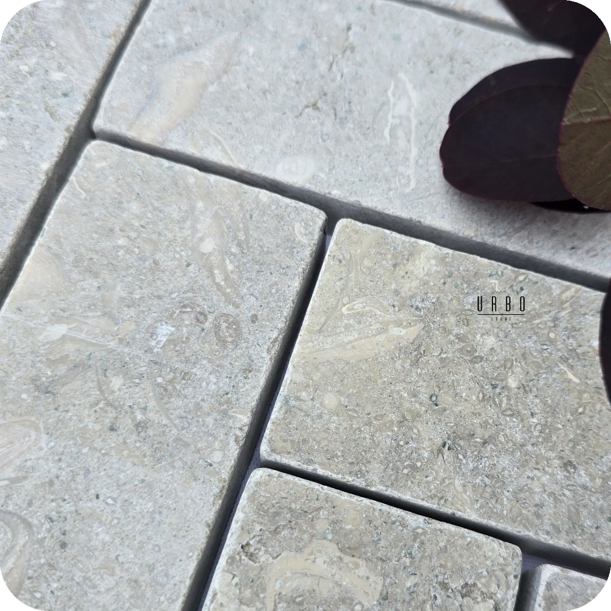 Sage Ash  20x5x2cm cegielka wapien kamien szaro zielona mala plytka rustykalna antykowana Mia Urbo Stone (3).webp