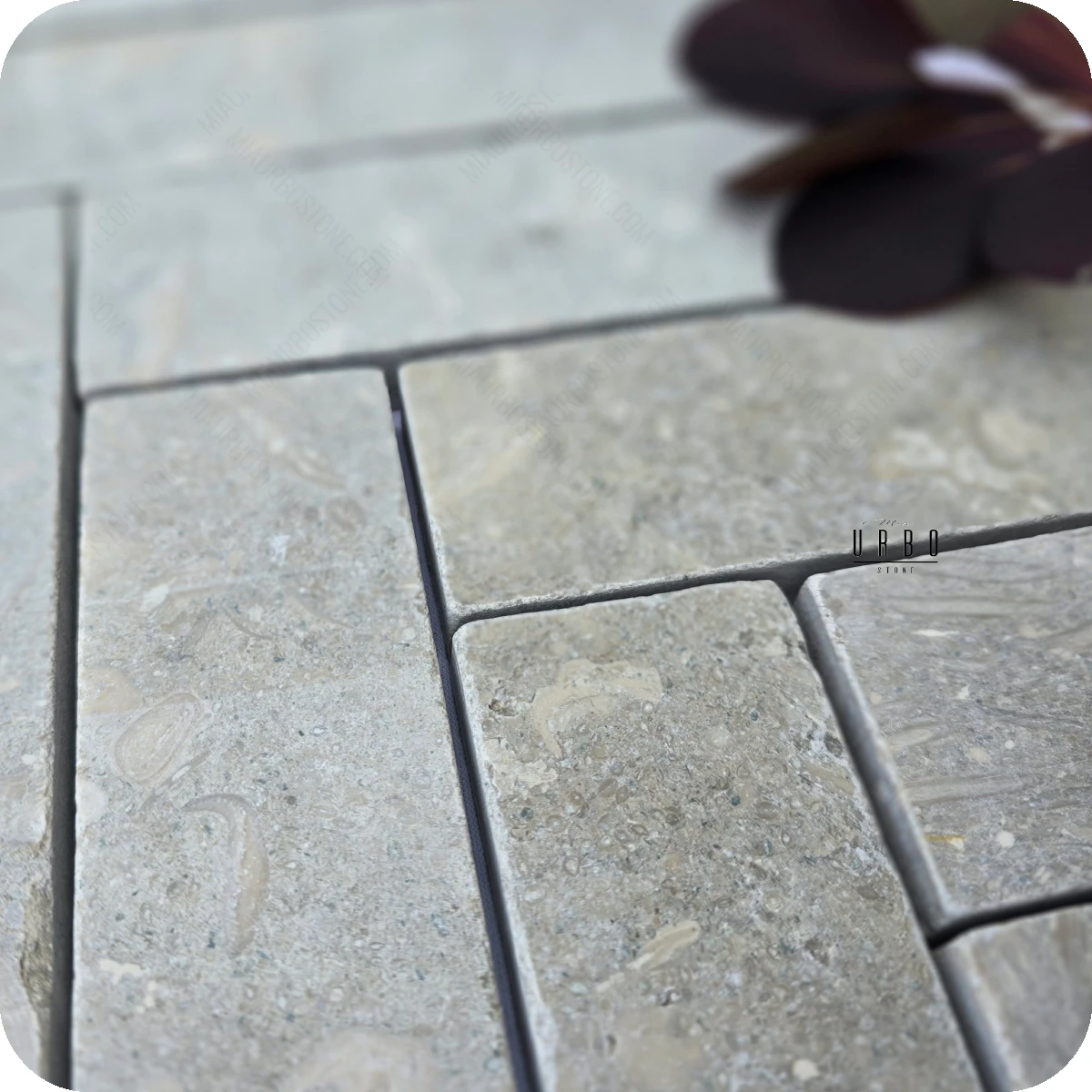Sage Ash  20x5x2cm cegielka wapien kamien szaro zielona mala plytka rustykalna antykowana Mia Urbo Stone (2).webp