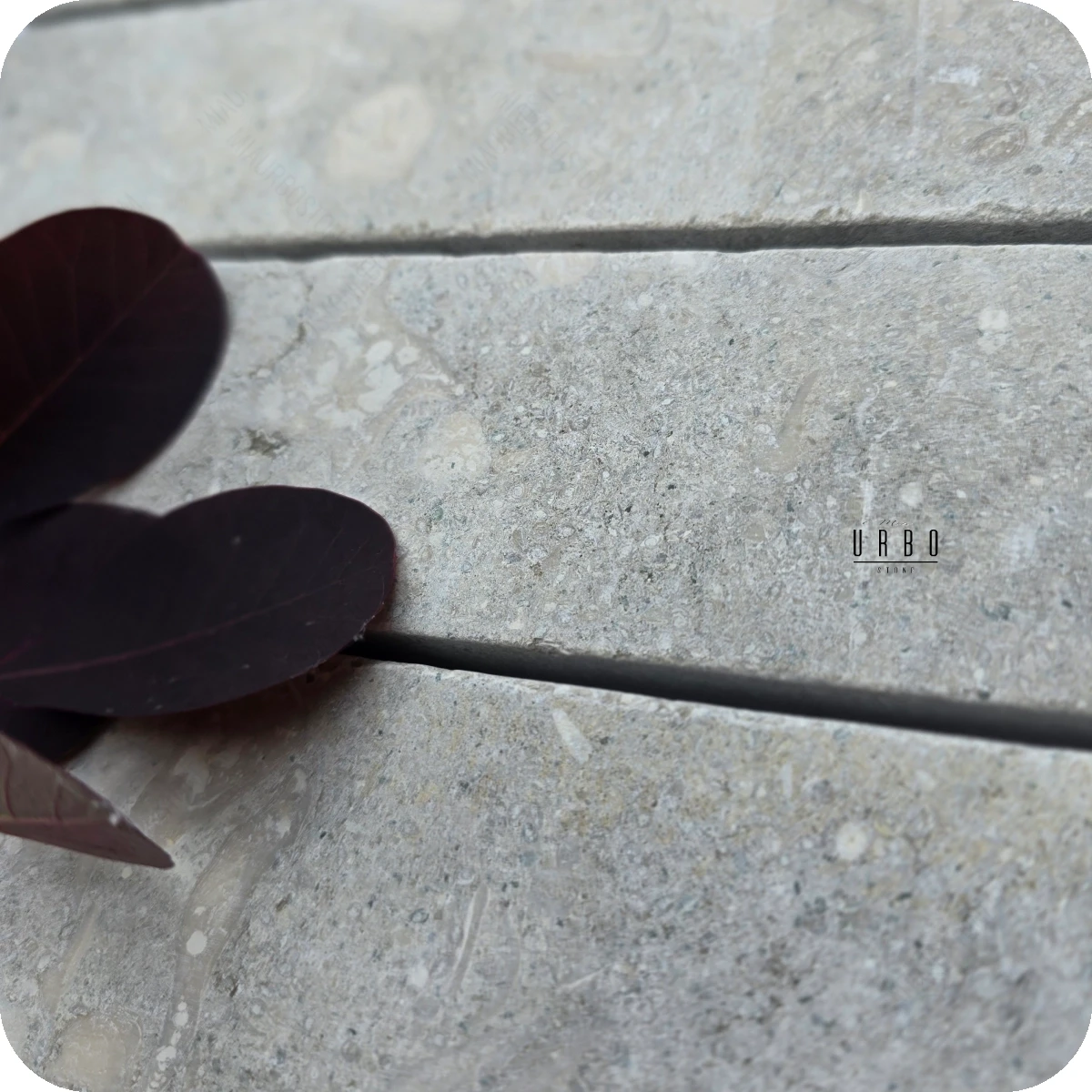 Sage Ash  20x5x2cm cegielka wapien kamien szaro zielona mala plytka rustykalna antykowana Mia Urbo Stone (1).webp